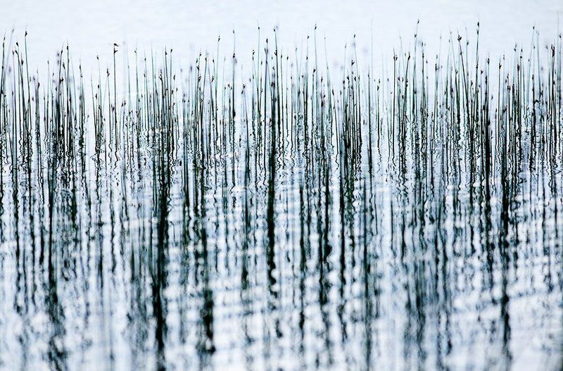 линииphoto preview