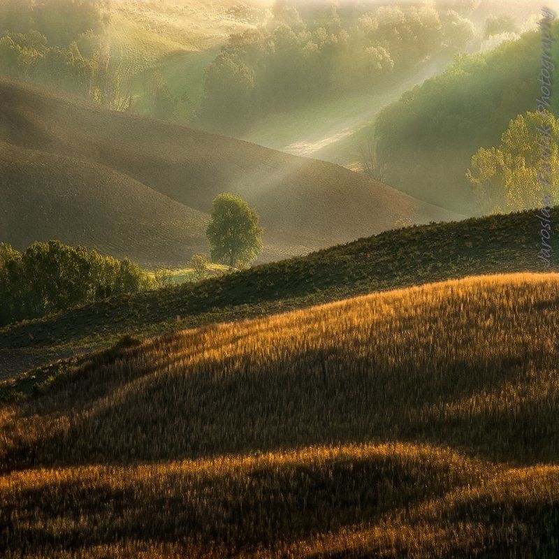 The guardian of lightphoto preview