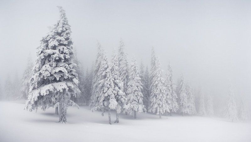 карпаты, горы, снег, зима О настоящей суровой зимеphoto preview