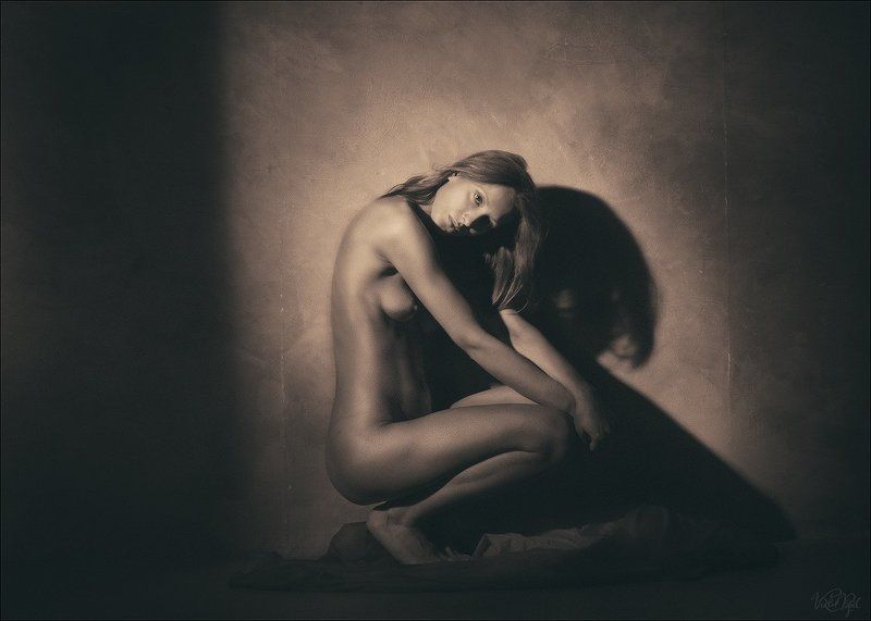 теньphoto preview