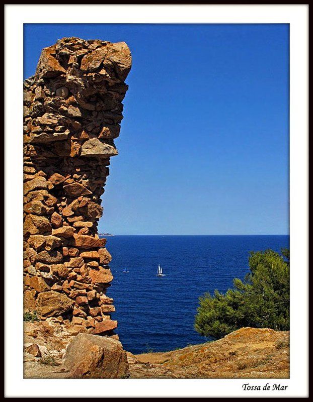 Парусникphoto preview