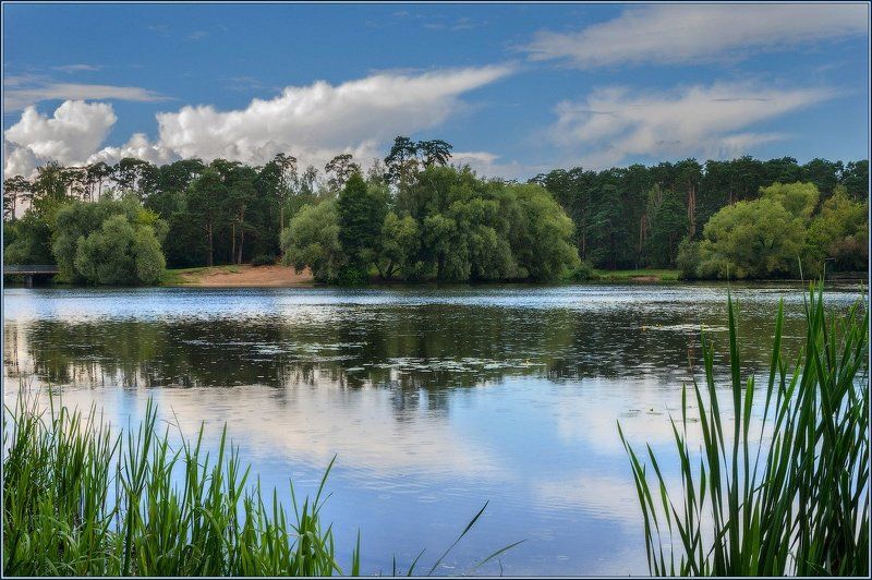 Грибной дождик в Серебряном боруphoto preview