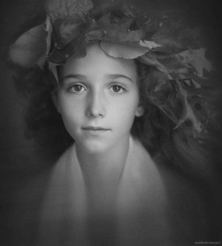 Another Treephoto preview