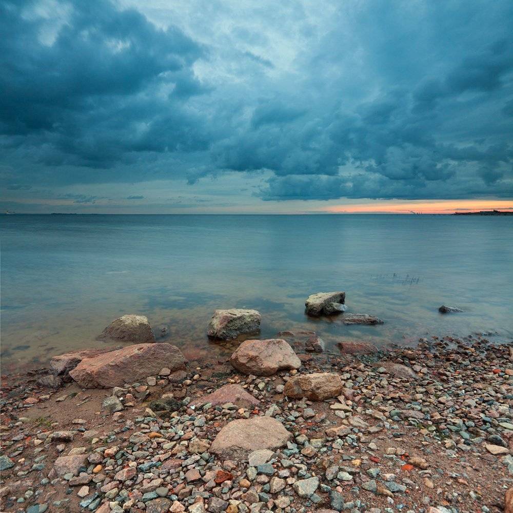 В ожидании дождя. Автор: Евгений Кондрашков , Евгений Кондрашков