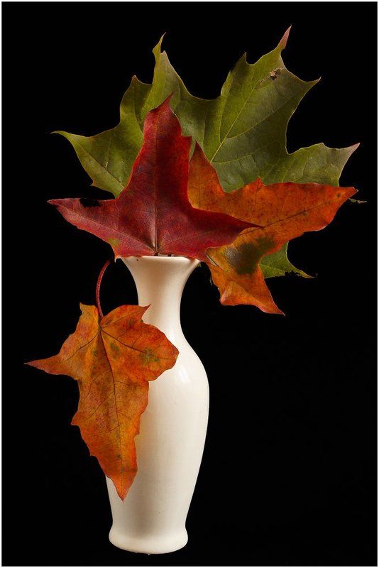 Осенний букетphoto preview