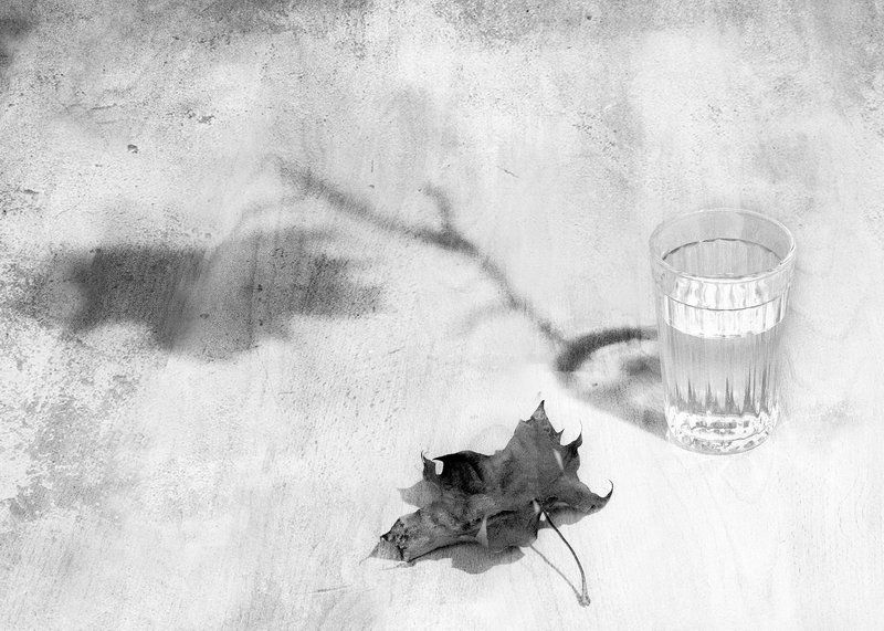 осеньphoto preview