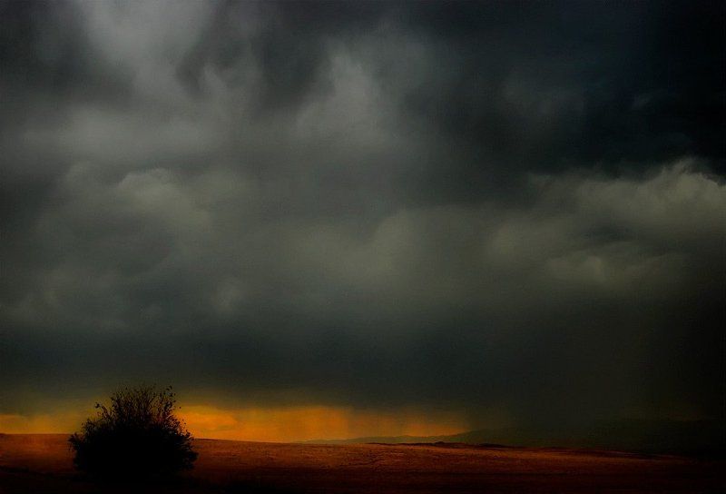 непогода в степи, ненастье, rizhickh Ненастьеphoto preview