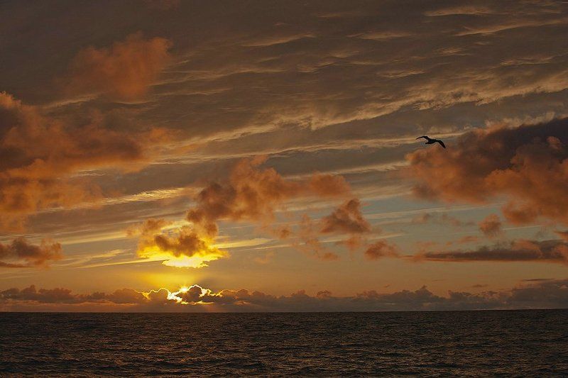 арктика, закат, баренцево море, север, россия, пейзаж, облака, солнце, arctic, sunset barencevo sea, north, russia, landscape, clouds Арктический закатphoto preview