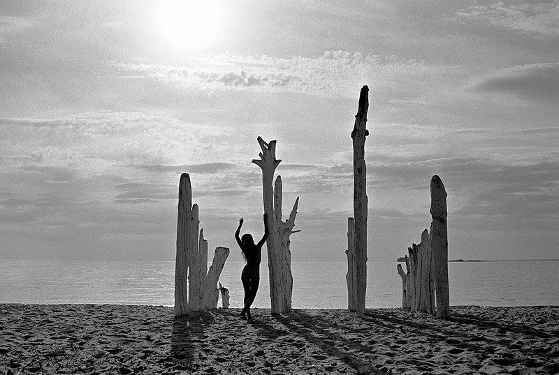 Sunvibesphoto preview