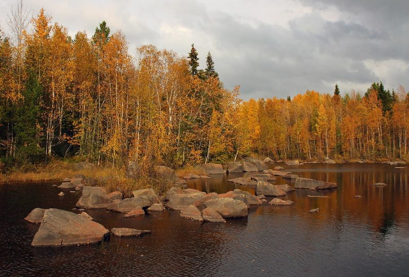 Осенняяphoto preview