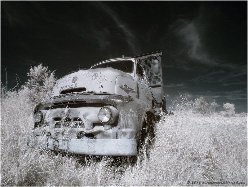 Tough guy...photo preview