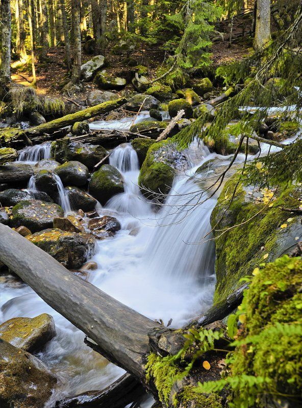 муруджу, река, осень Муруджуphoto preview