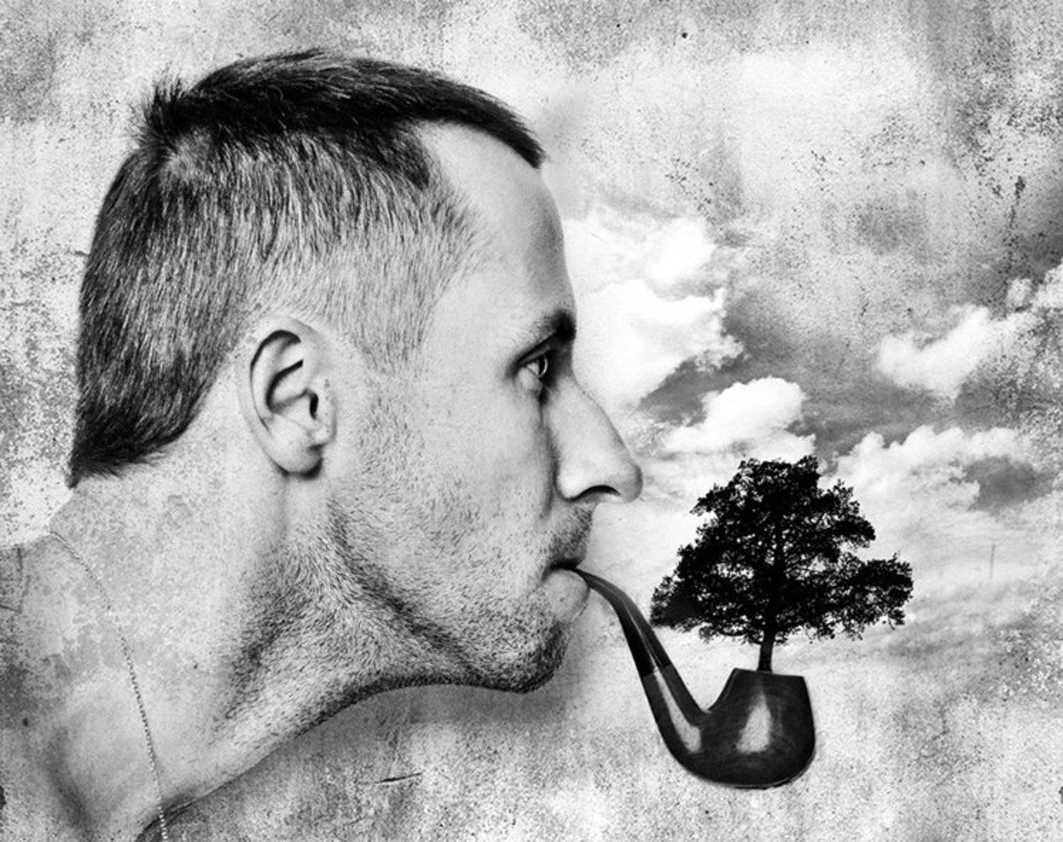 , Ясен Перец