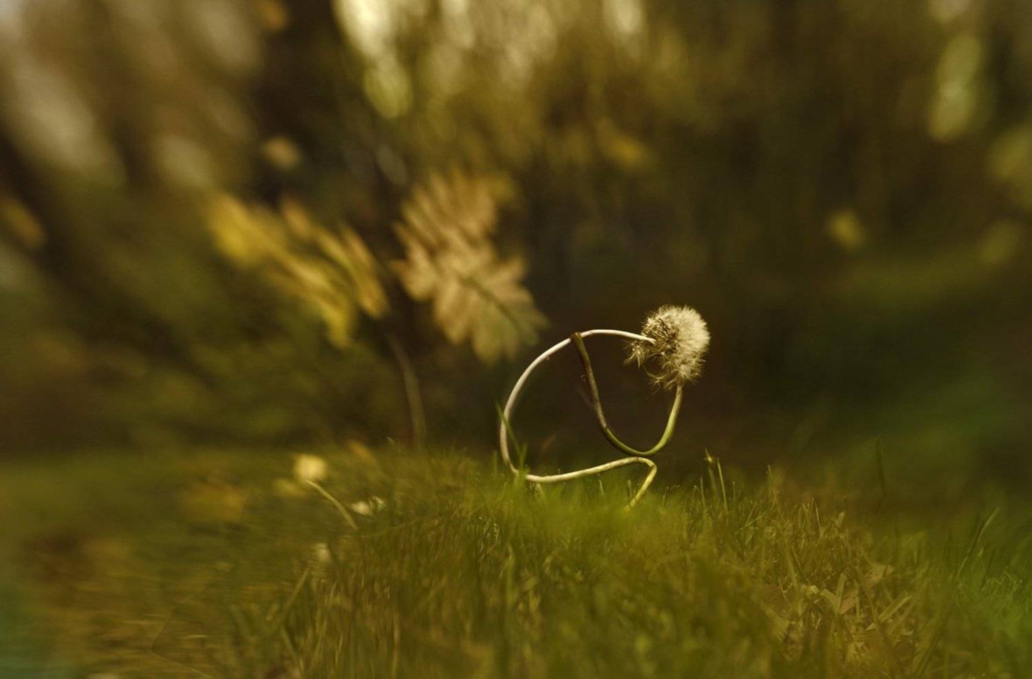 Последний. Автор: Татьяна Гориловская , Татьяна Гориловская