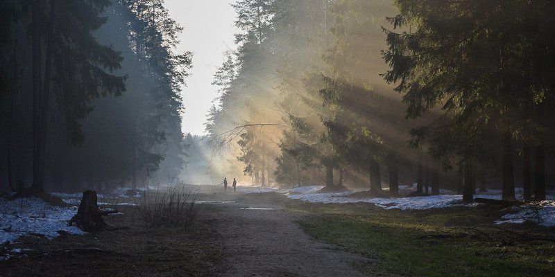 Туманный диалог фото превью