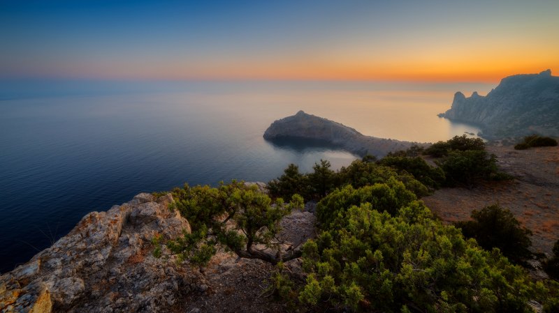 Новый Светphoto preview