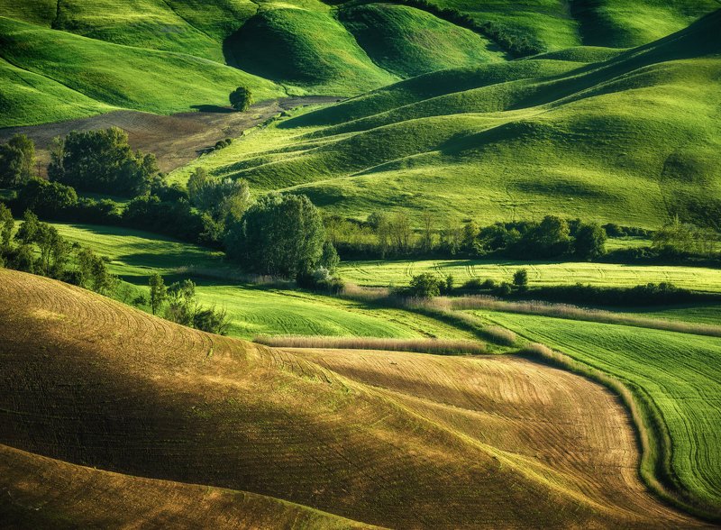 #tuscany #italy #landscapephotography #tuscanyworkshop #photographyworkshop #valdorcia Greens mornings photo preview