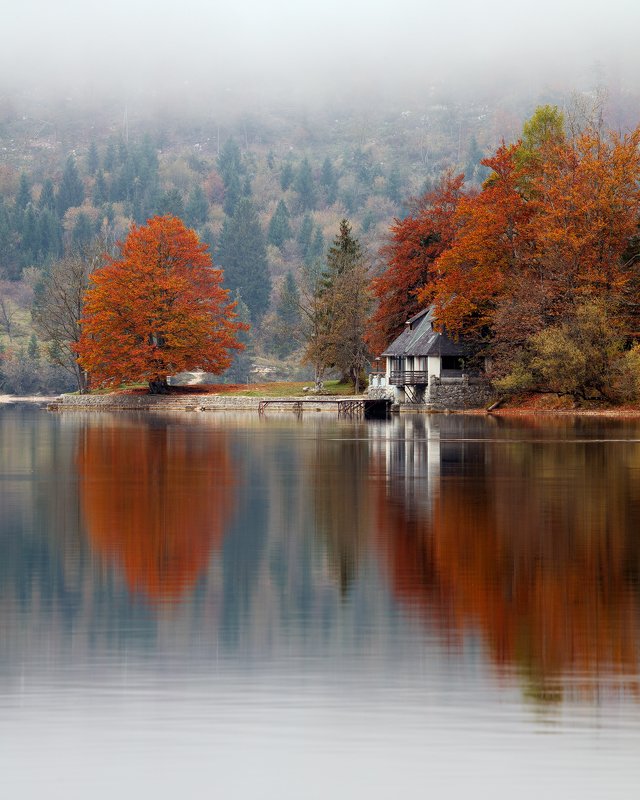 slovenia, lake, reflection, trees, colors, autumn, fog, mist, beautiful, nature, water Foggy Morning by the Lakephoto preview
