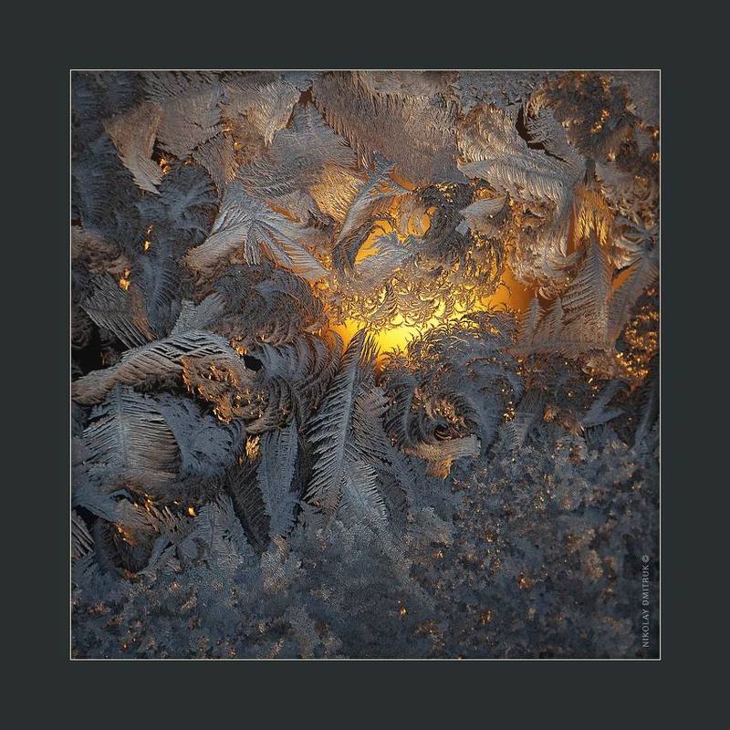 макро закат мороза. 16.20photo preview