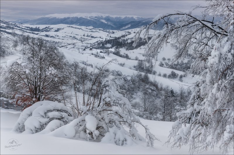 карпаты, зима. Когда-то была зима ....photo preview