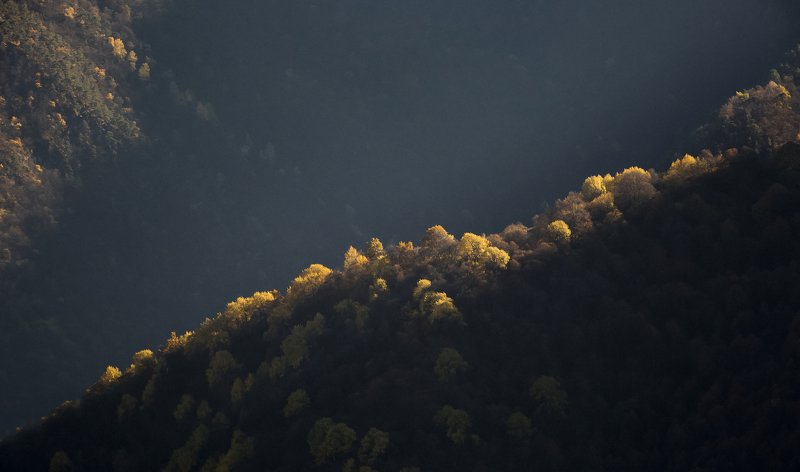 Игра светаphoto preview