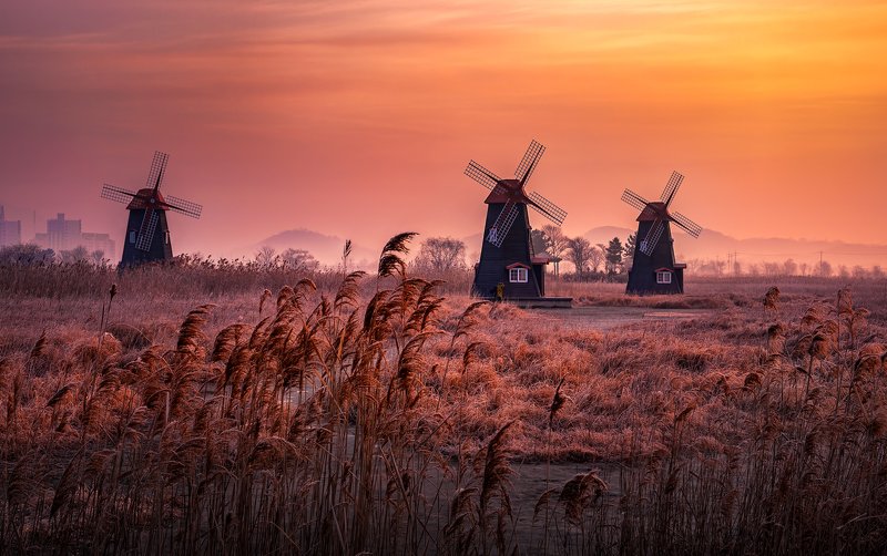 Morning of home townphoto preview