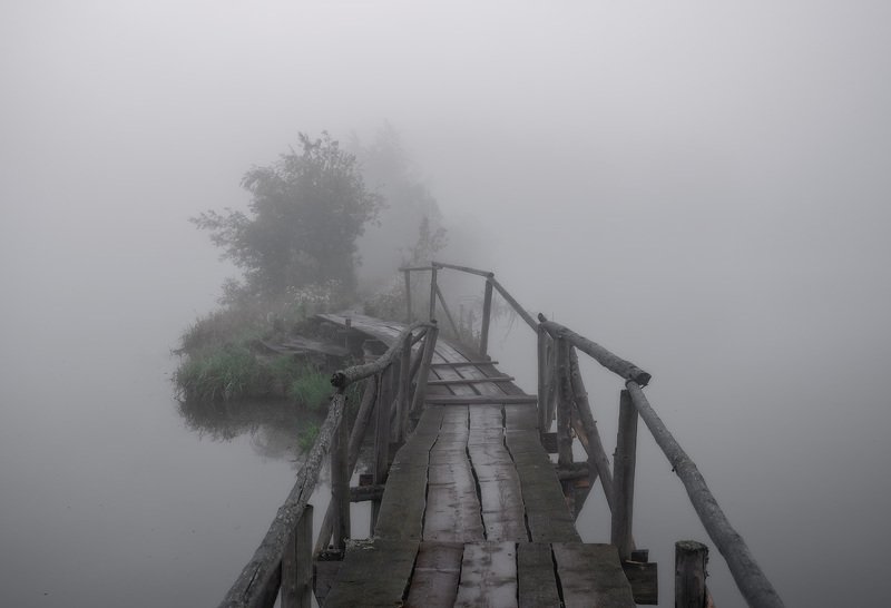утро туман река мостик Туманная бездна. фото превью