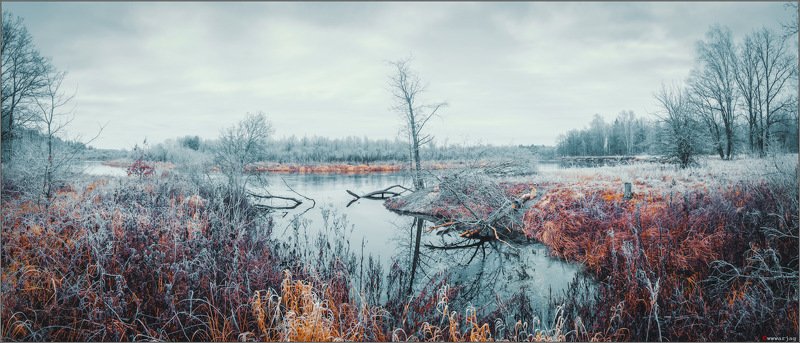 Бобровая столоваяphoto preview