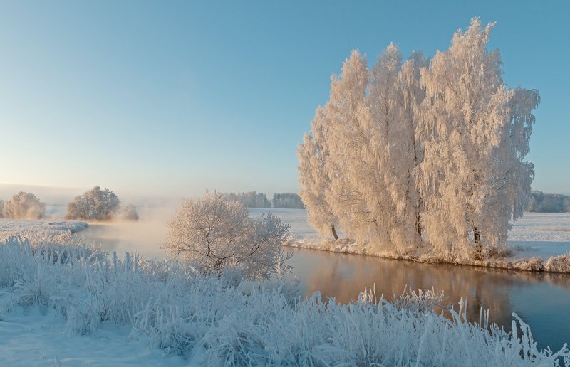 утро, свислочь, туман, иней, мороз Зимаphoto preview