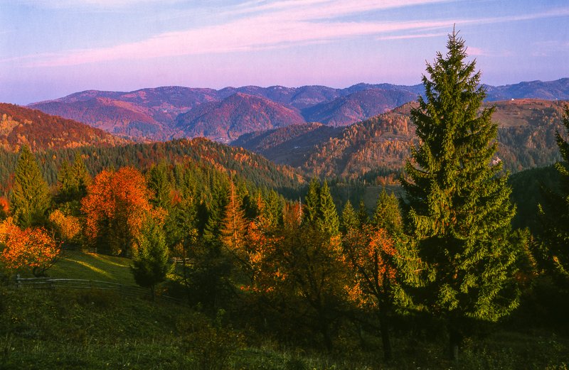 Autumn in the Carpathian mountains Fuji Velvia filmphoto preview