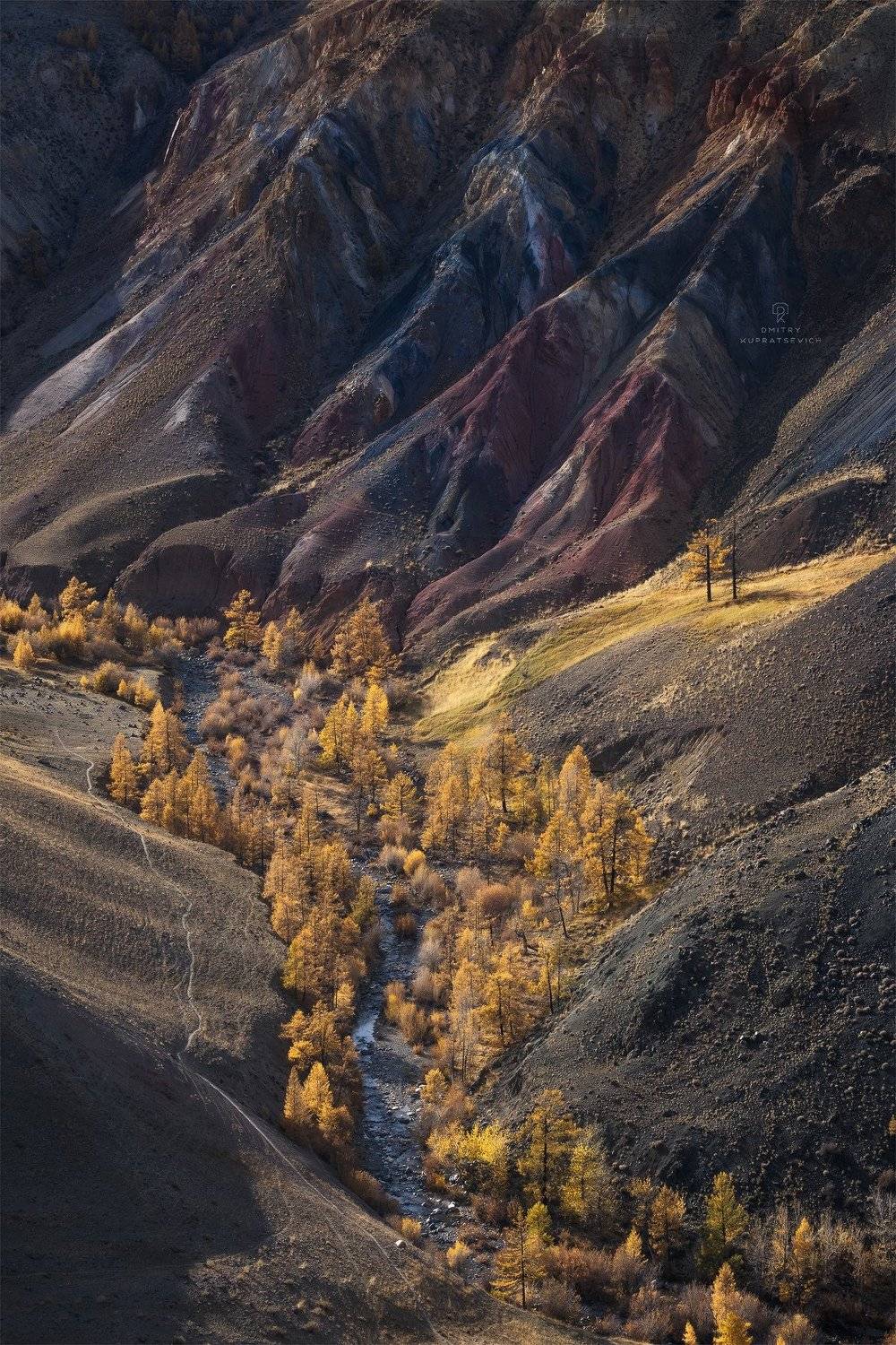 алтай, россия, кызыл-чин, горы, осень, пейзаж, природа, степь, Дмитрий Купрацевич