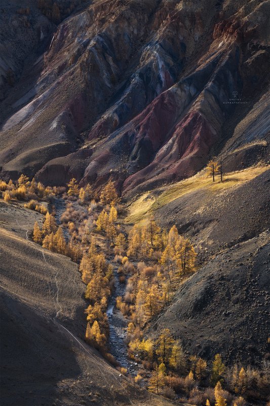 алтай, россия, кызыл-чин, горы, осень, пейзаж, природа, степь Где-то на Марсеphoto preview