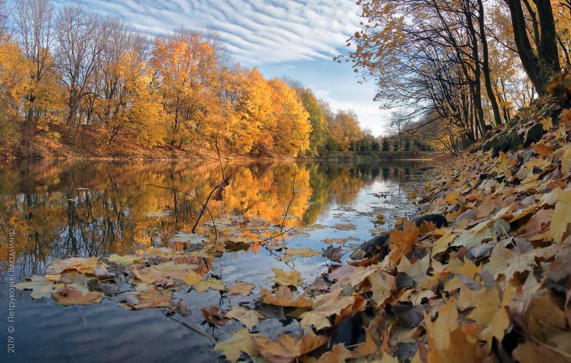 Осень в Южном парке.photo preview