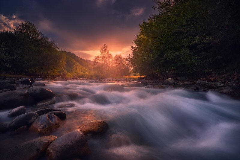 Первые лучиphoto preview