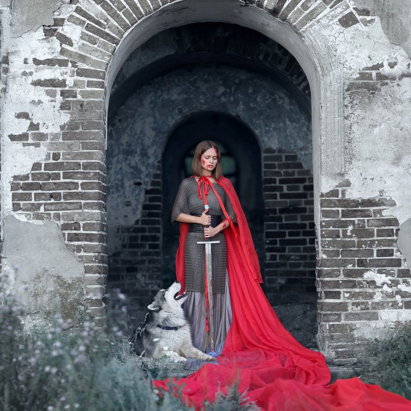 замок, кольчуга, скиф, маламут, аляскинский маламут, мкч, девушка с мечом, девушка воин, девушка в кольчуге, красный плащ photo preview