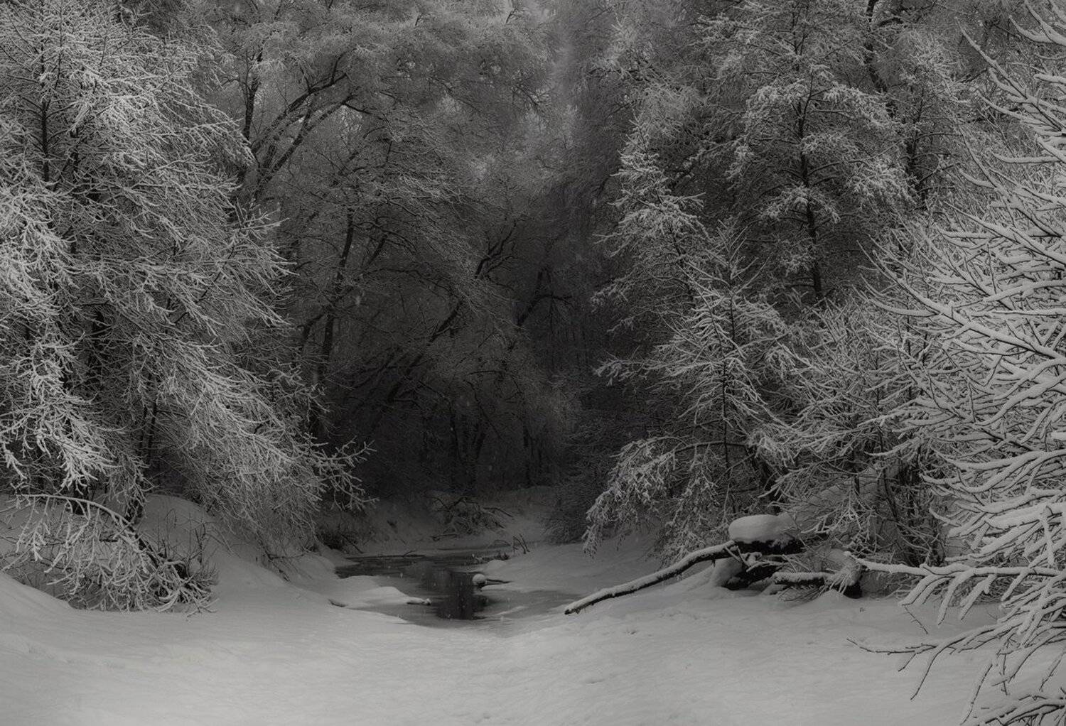 тульская обл. с. сенево, р. крушма, Баранов Олег