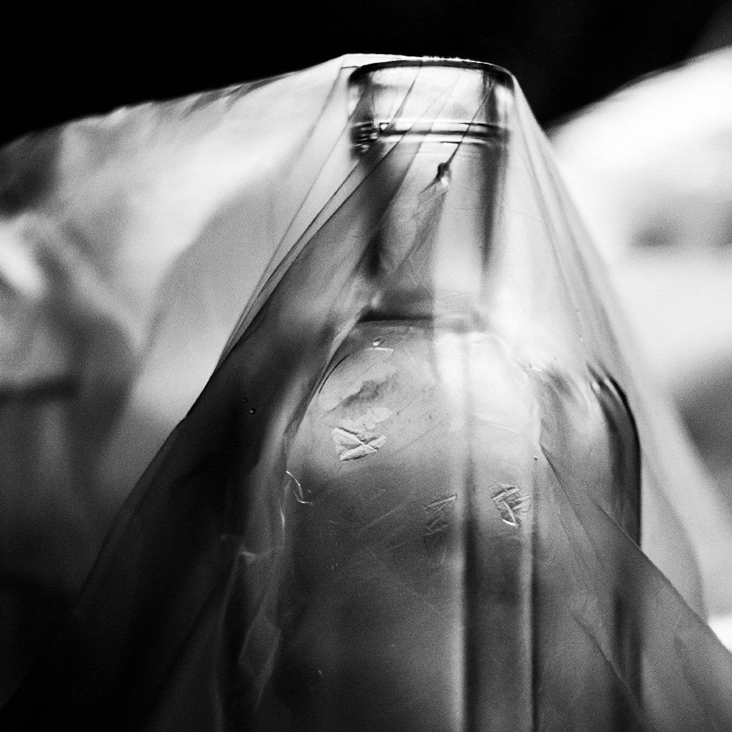 Одинокий. Автор: Алёна Таланова , Алёна Таланова