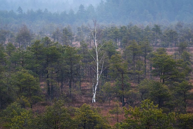 Невыносимая легкость бытияphoto preview