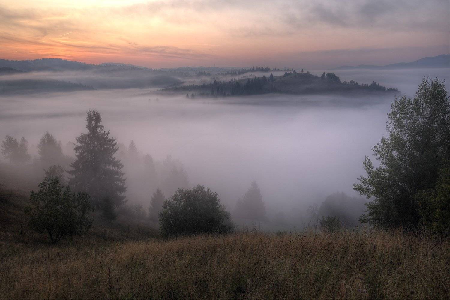 Карпатские зори. Автор: Sergii Markov горы, карпаты, туман, утро, зори, заря, Sergii Markov