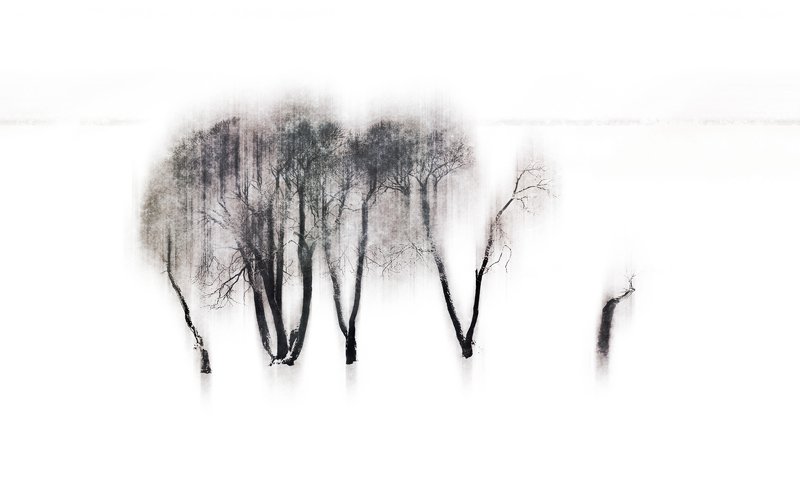 Зимний сонphoto preview