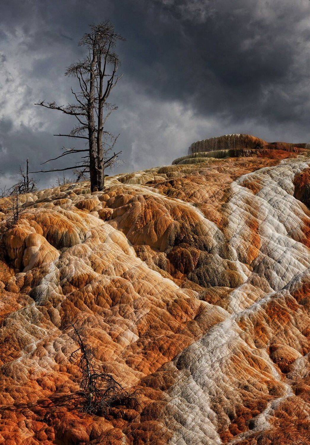 Orange Hill. Автор: Vladimir Morozov , Vladimir Morozov