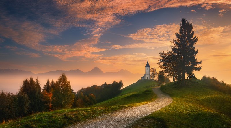 Jamnik...photo preview