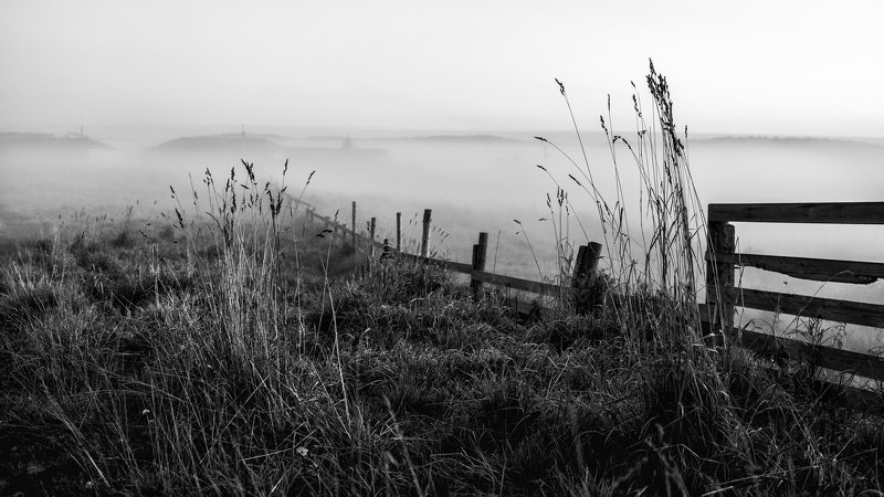 соловки, соловецкие острова, белое море, утро, туман, монстырь, рассвет, трава, ник васильев, Утро Соловецкое.photo preview