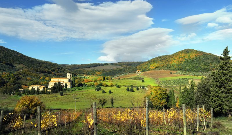 November ...photo preview