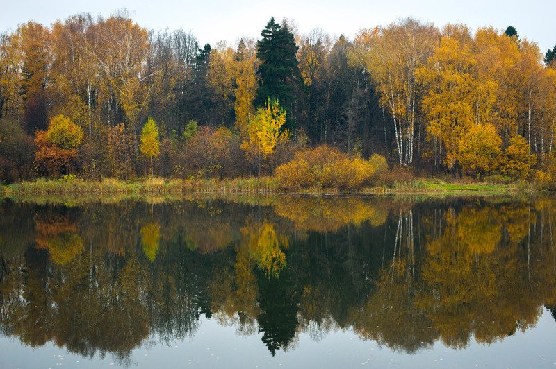 berendey 2 worldsphoto preview