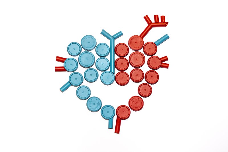 conceptual, stilllife Heartphoto preview