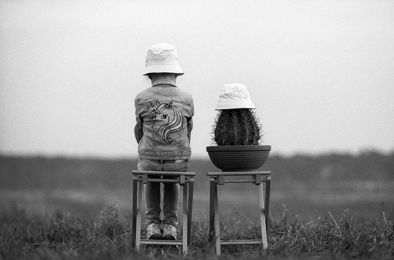 Joint Restphoto preview