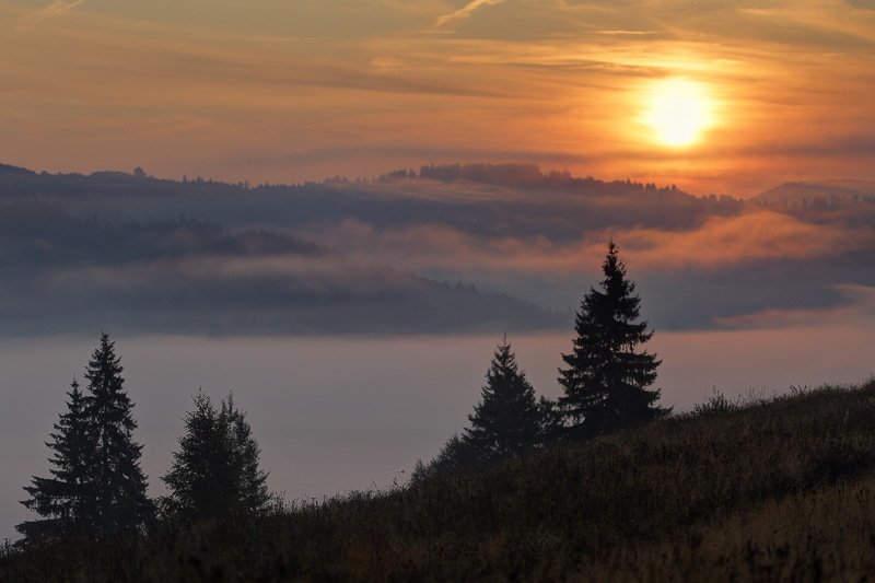 горы, карпаты, туман, утро, рассвет, солнце Утроphoto preview