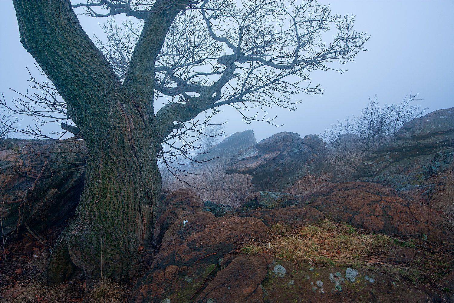 #ProPereval. Автор: Дитковский Евгений , Дитковский Евгений