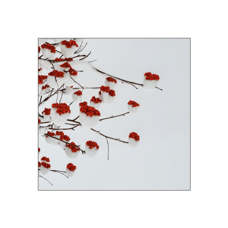 минимализм Abstract formsphoto preview